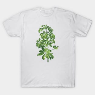 Starleaf plant T-Shirt